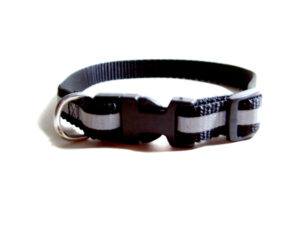 Nylon Dog Collar