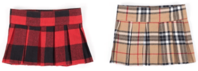 The plaid skirt