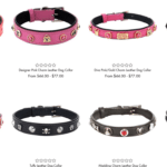 Dog Collar Options