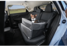 Small Dog Booster Seat