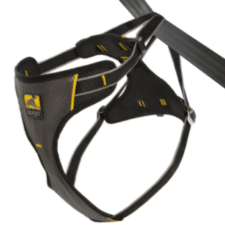 Padded Seat Belt Harness