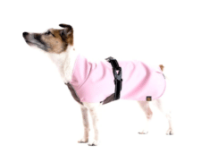 Raincoat For Dogs