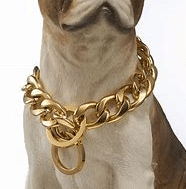 The Gold Dog Chain