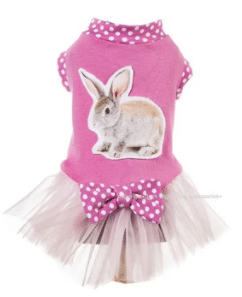 Rabbit Dog Dress