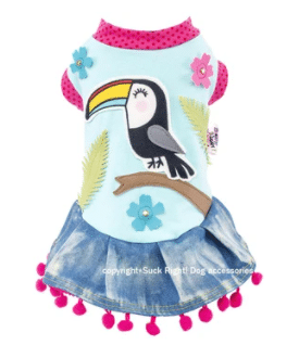 Toucan Dog Dress