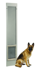 Dog Door