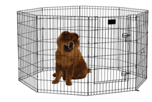 Dog Pen