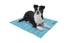 Cooling Mat for Dogs