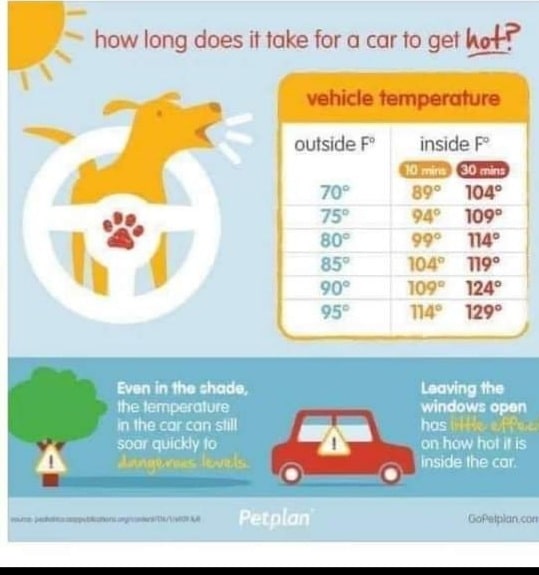 Temps in Vehicles